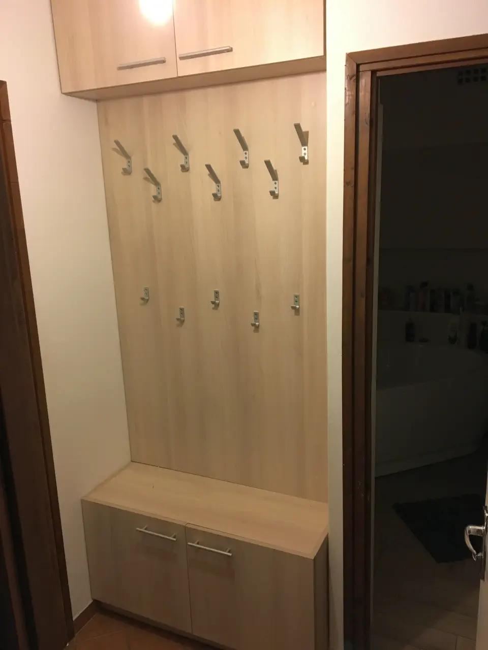 Ami a képen látszik: előszoba.