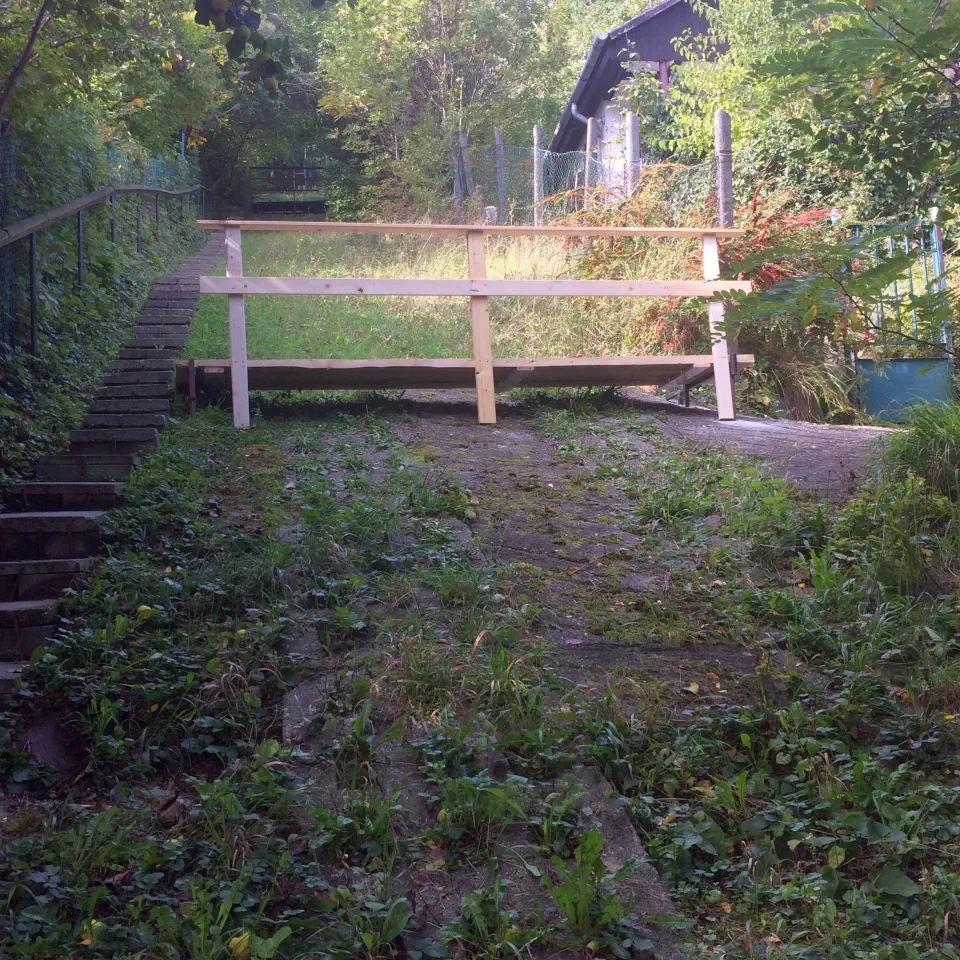 Ami a képen látszik: kert.
